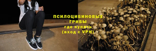 сатива Белокуриха
