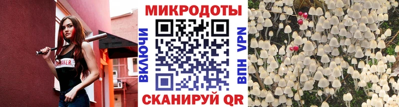 Псилоцибиновые грибы прущие грибы  купить закладку  Красный Сулин 